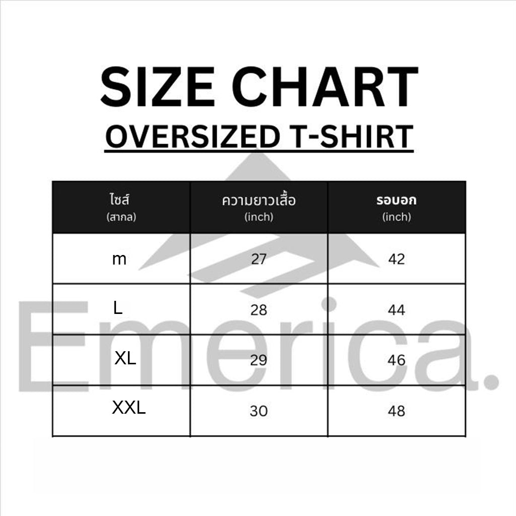EMERICA THIS IS SKATEBOADING S/S TEE